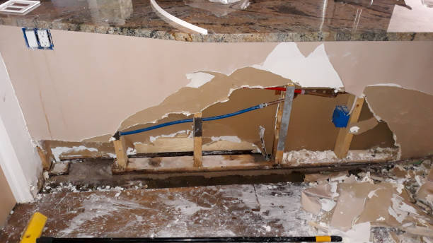 Best Residential water damage restoration  in Hamilton City, CA
